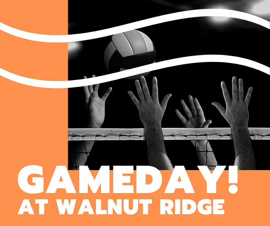 Volleyball Game Tonight Newport School District