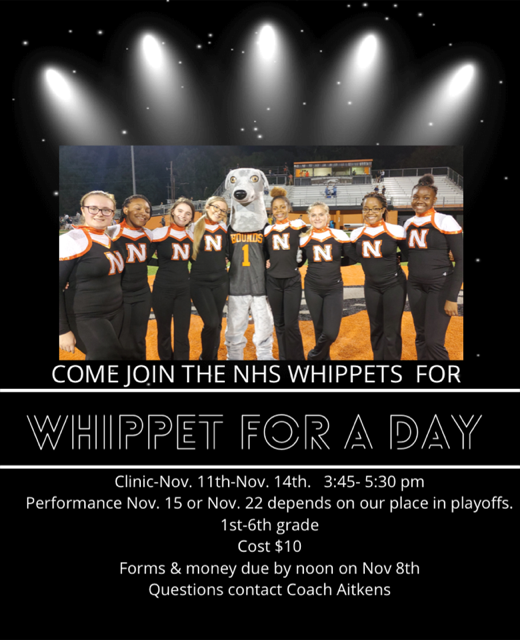 Whippet For A Day