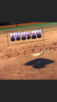 Newport High School Softball