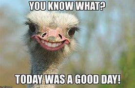 Today Was A Good Day Back!!
