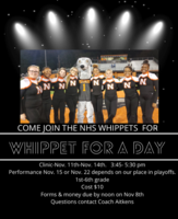 Whippet For A Day