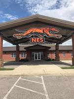 Greyhound Nation