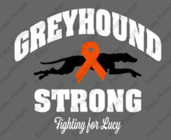 Fund raiser for Lucy Hernandez